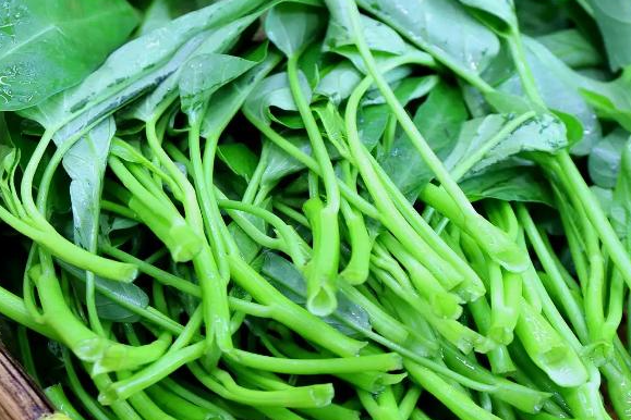 空心菜和菜心是一种菜吗