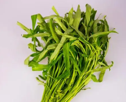 空心菜无土栽培方法是什么