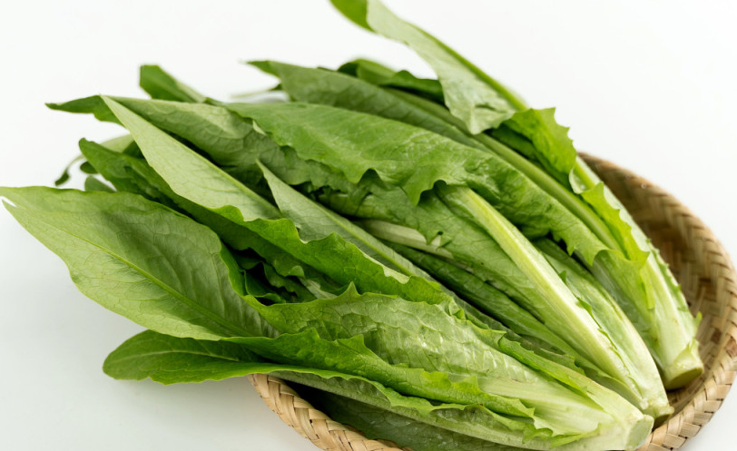 莴笋和油麦菜是一种菜吗