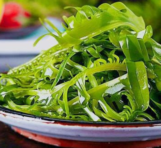 海芽菜和裙带菜是一种菜吗
