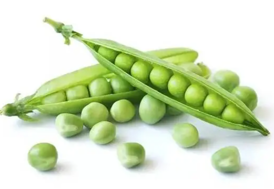 豌豆套种什么好