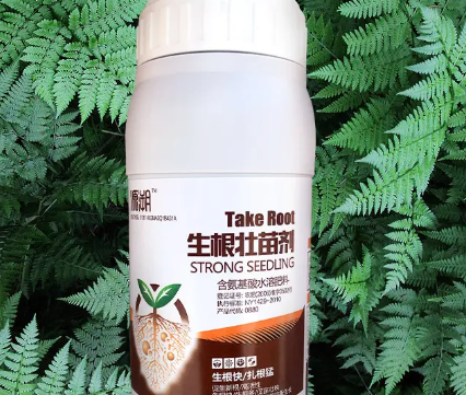 生根剂可以浇花吗