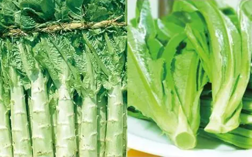 棒菜和莴笋是一种菜吗