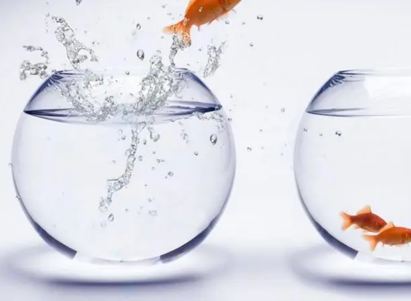 鱼缸里的水可以浇花吗