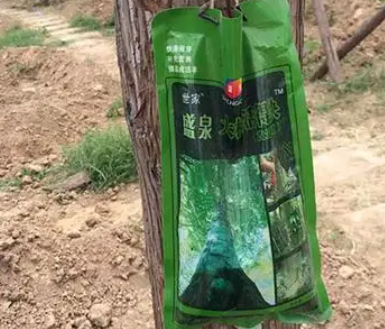 大树营养液可以浇花吗