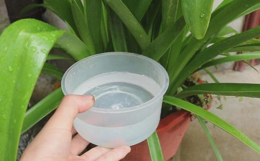 空调的水可以浇花吗
