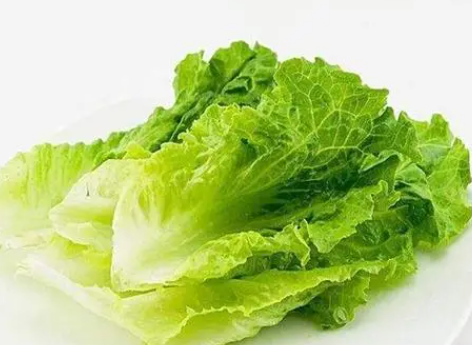 生菜生长温度是多少