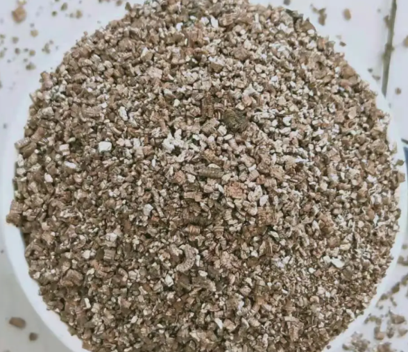 蛭石适合种什么花