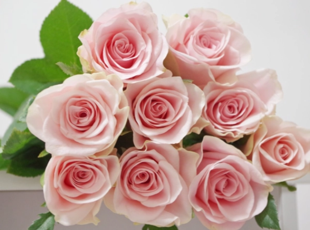 粉玫瑰花语是什么意思