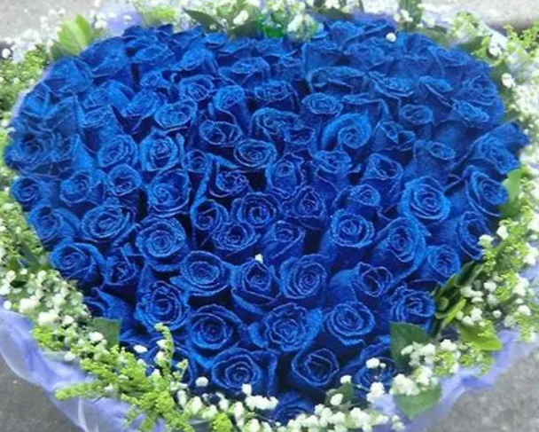 蓝玫瑰代表什么意思