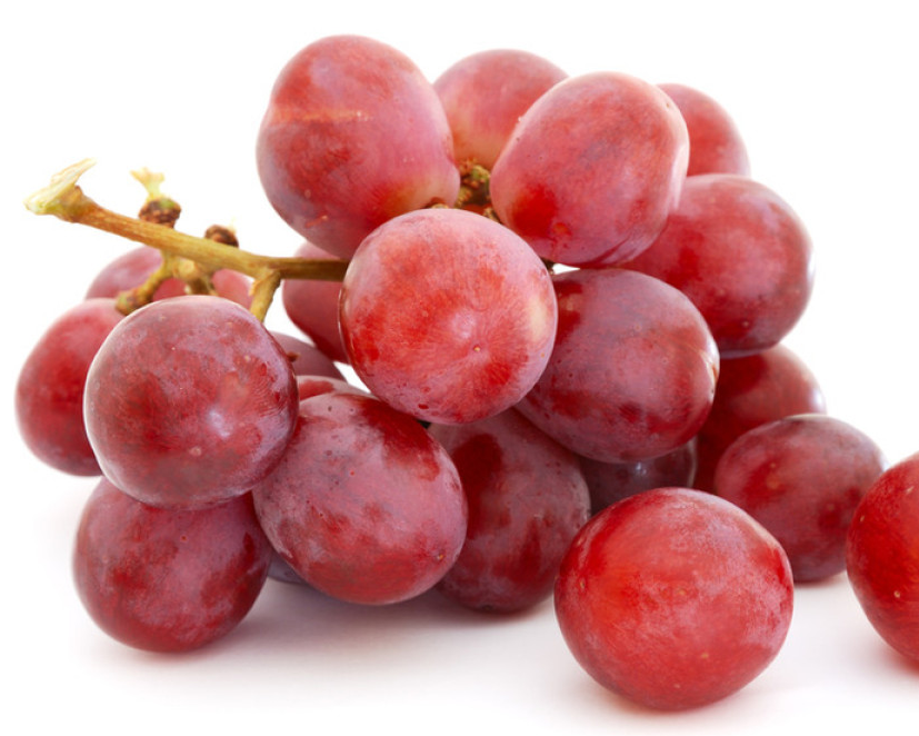 葡萄种植技术如何