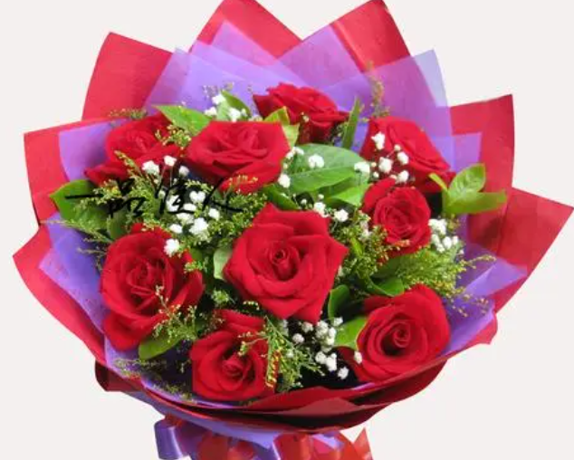 11支玫瑰代表什么