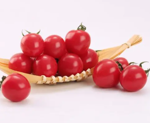 圣女果是转基因的吗