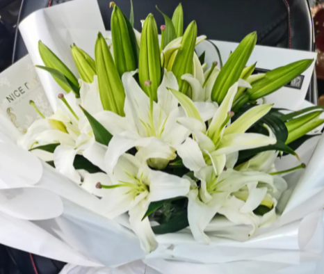 送男朋友什么花最好