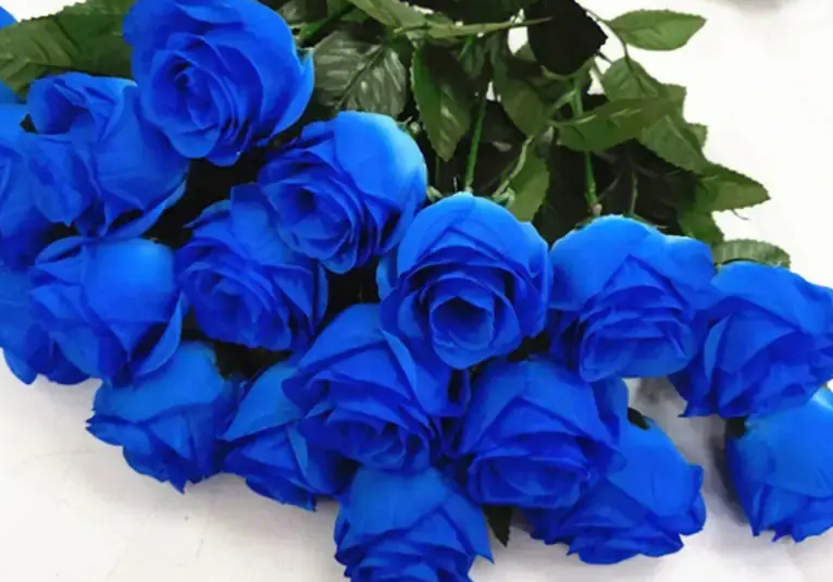 蓝色玫瑰代表什么