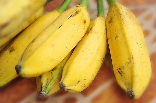 香蕉和芭蕉的区别