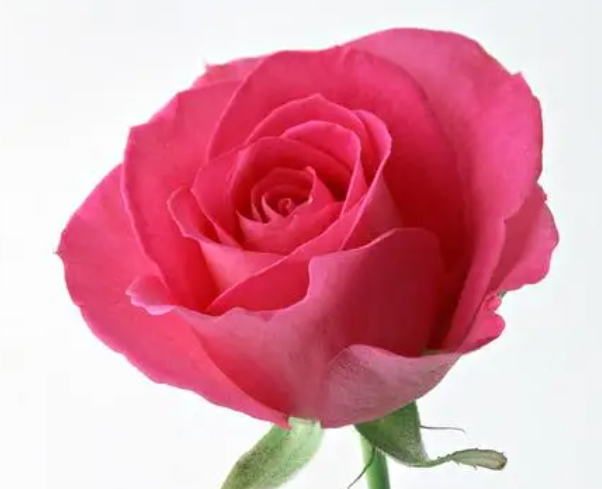 朝鲜的***是什么