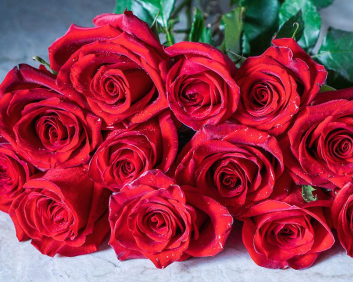 12支玫瑰代表什么