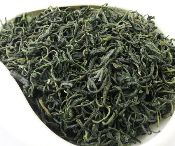 毛尖属于什么茶