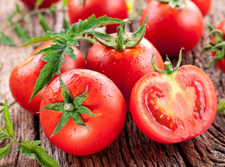 番茄的种植方法是什么