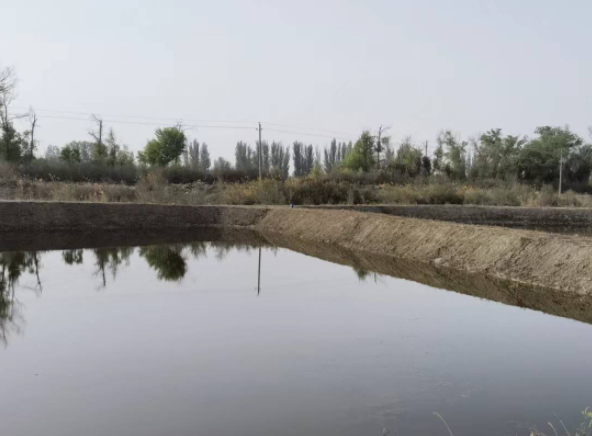 鱼塘氨氮超标怎么处理