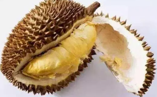 榴莲不熟要怎么放才能熟