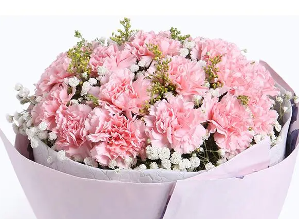 康乃馨送什么人