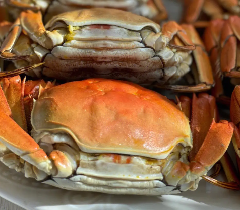 母蟹和公蟹的区别