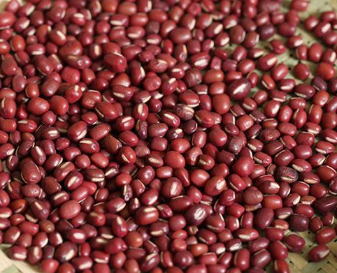 赤小豆是红豆吗