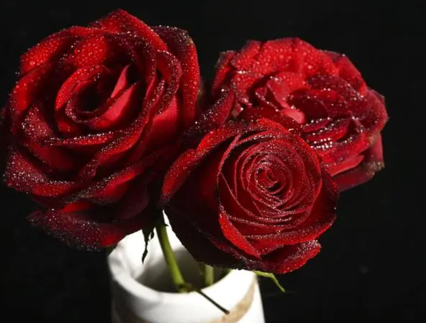 玫瑰花怎么保存