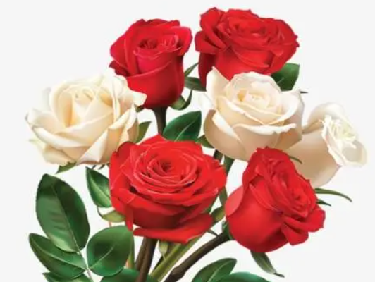 花园适合种什么花