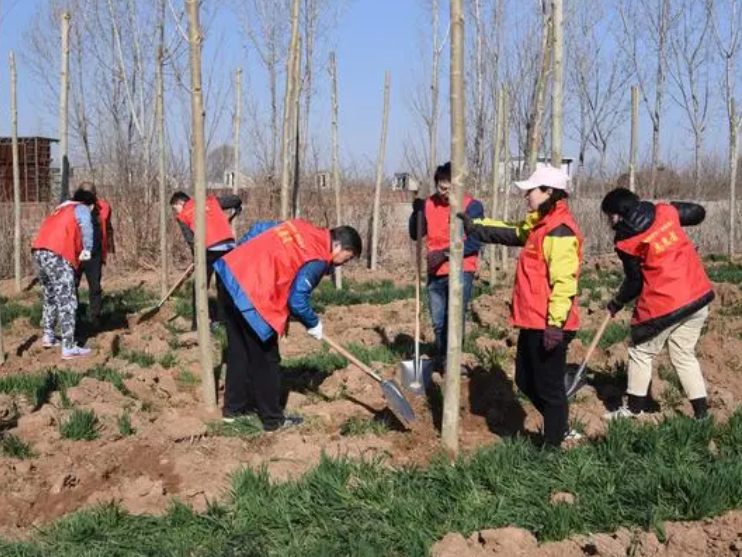 植树的好处是什么
