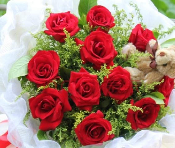 11朵玫瑰代表什么意思