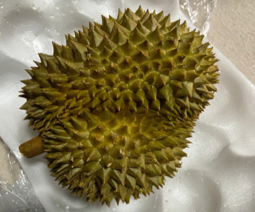 榴莲不熟打开了怎么催熟