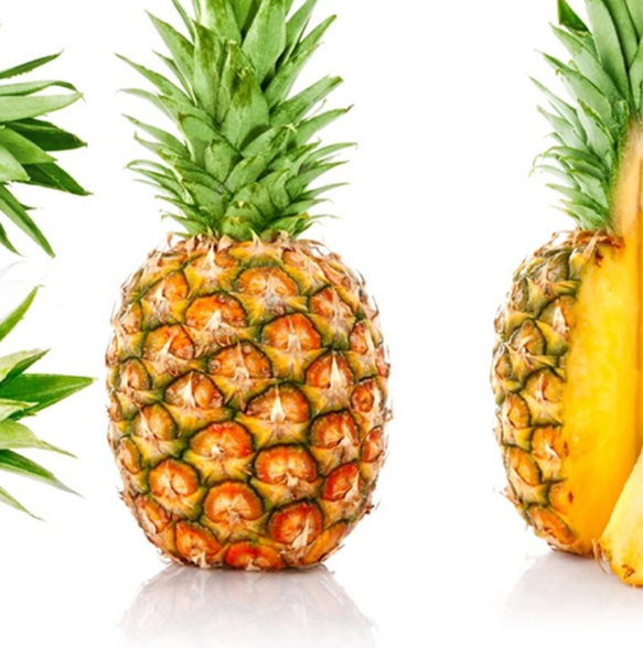 菠萝怎么种植方法