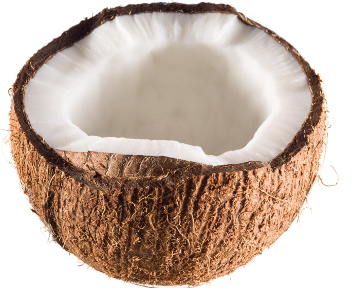 椰子是什么植物