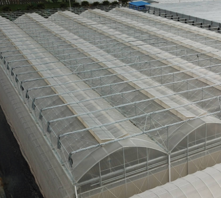 大棚怎么样建造的