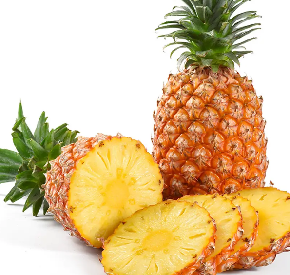 菠萝长在树上还是地上