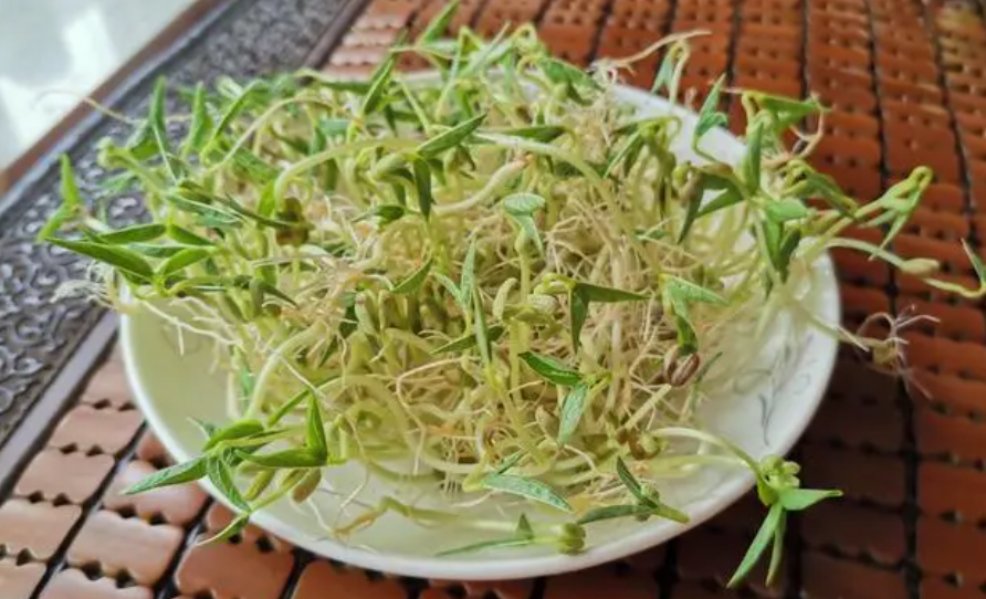 绿豆芽怎么发