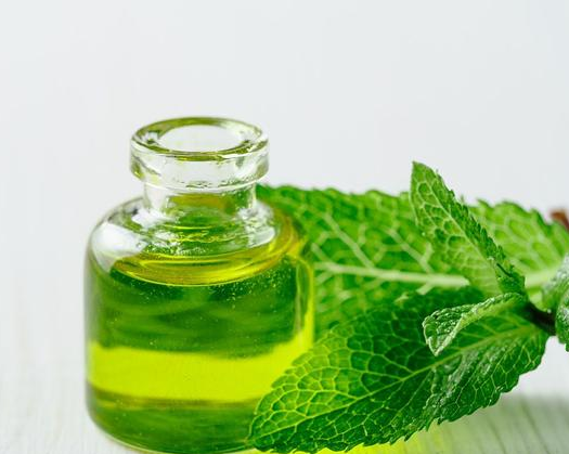 薄荷油价格