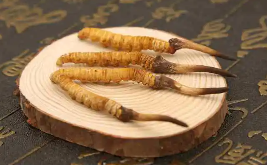 怎样种种植虫草