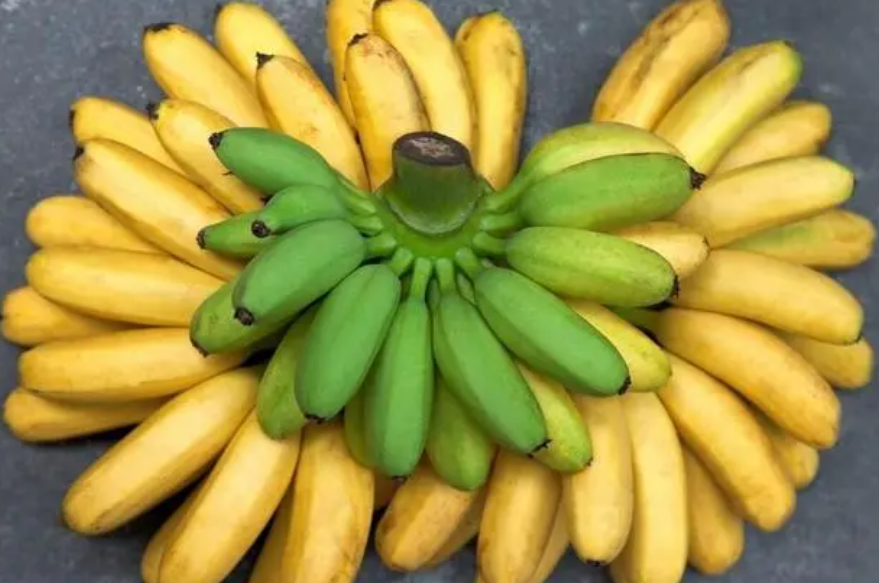 芭蕉和香蕉的区别