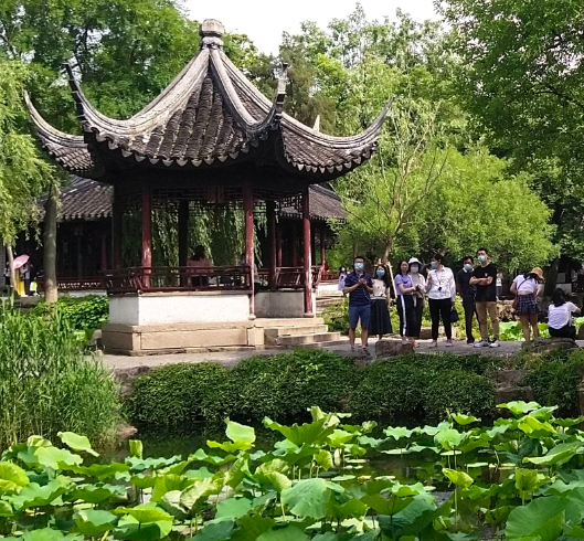 苏州园林中被誉为园林之母的是