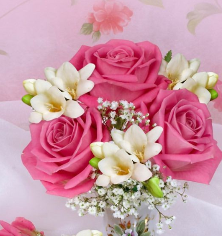 粉色玫瑰的花语