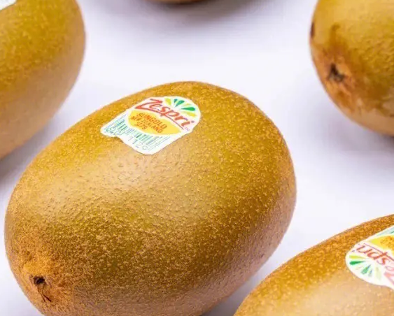 奇异果和猕猴桃一样吗