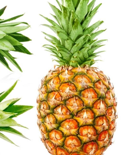 菠萝凤梨区别