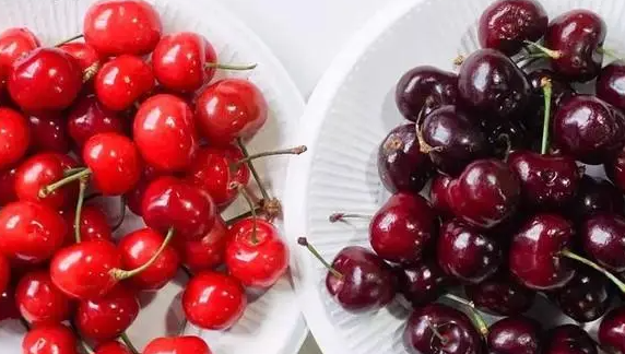 车厘子与樱桃