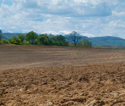 农事活动有哪些?