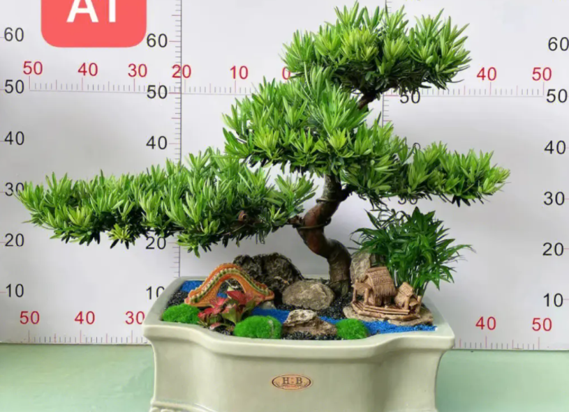 罗汉松多少钱一棵