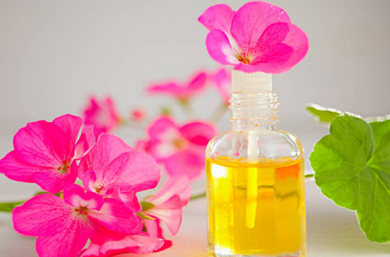 天竺葵精油的功效
